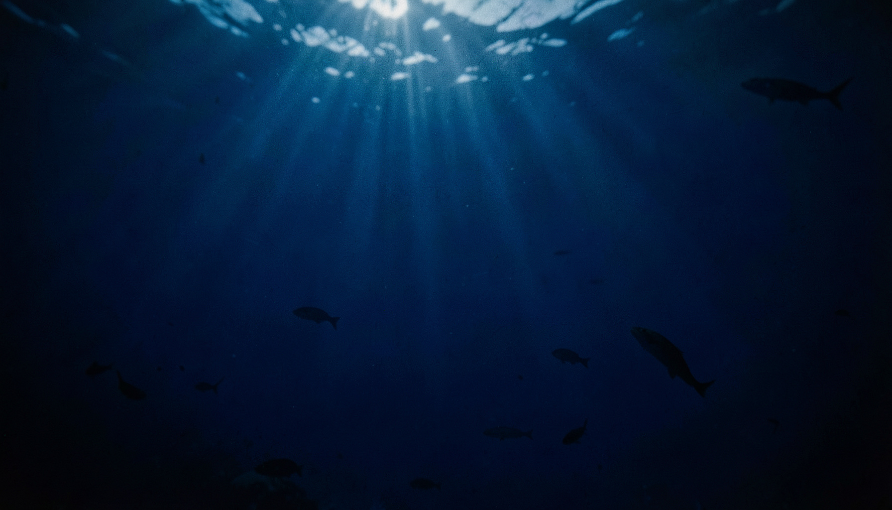 Deep navy underwater scene with subtle swimming fish silhouettes and gentle light rays filtering through dark blue water